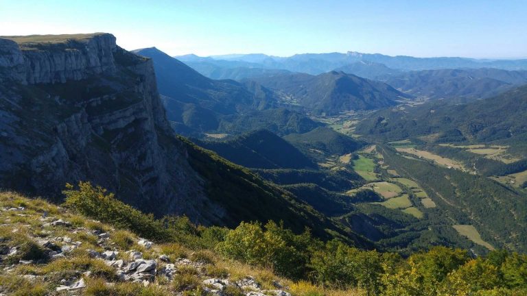 L’écologie est conservatrice ou elle n’est pas