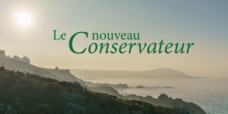 Sommaire du numéro 9