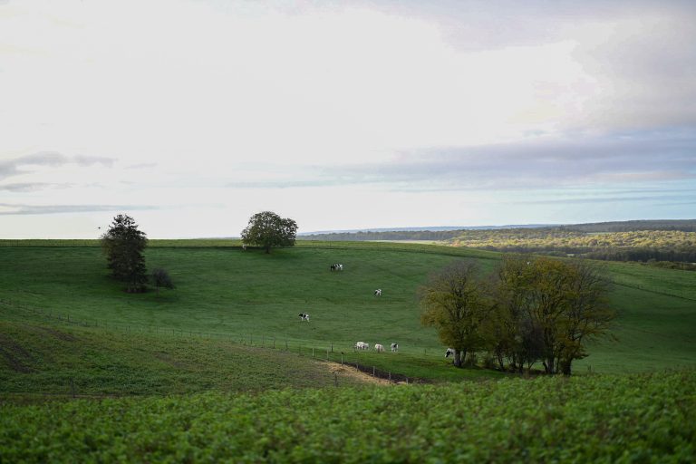Ode aux chemins noirs