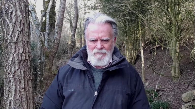 Christian Combaz : « Emmanuel Macron a le désir opiniâtre de nuire à l’ordre ancien »